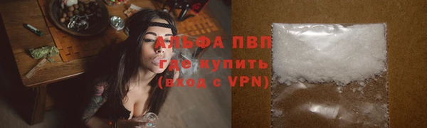крисы Алексин